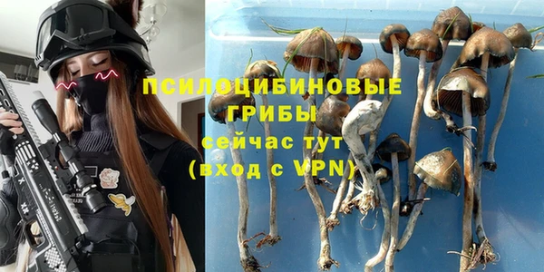 бошки Яровое