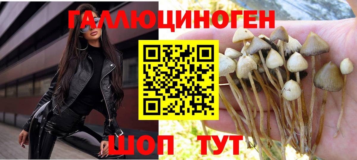 Псилоцибиновые грибы мухоморы Великий Устюг